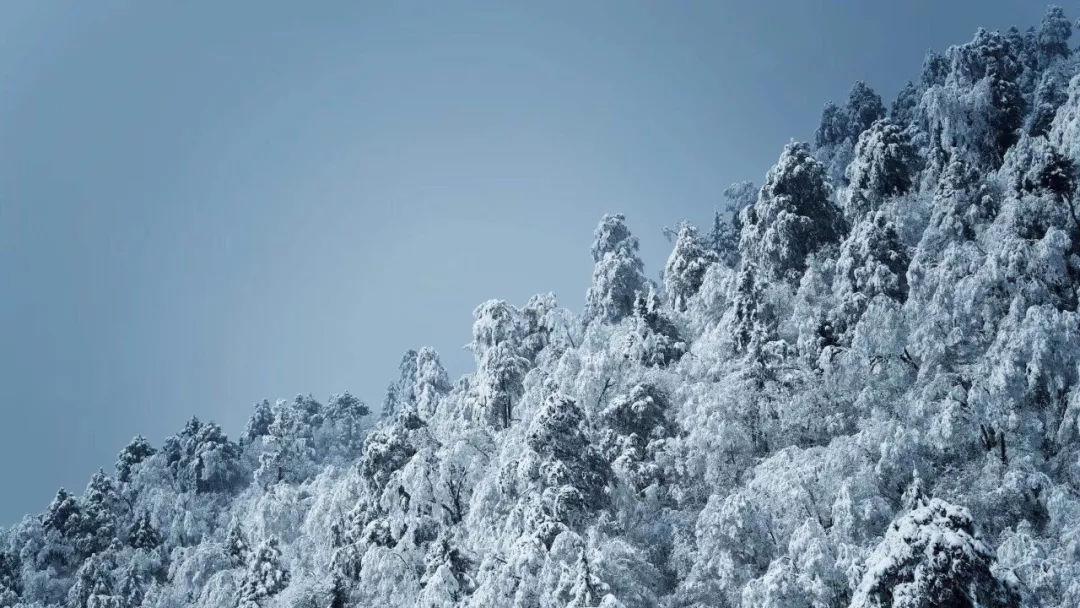 小宝贝仪仗队